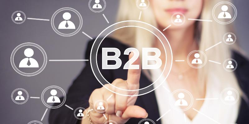 What Are the Benefits and Limitations of a Multi-Vendor B2B Marketplace?