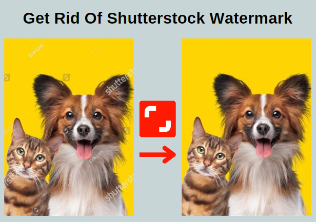 How To Get Rid Of Shutterstock Watermark