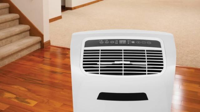 The Best Dehumidifiers For Basements, Crawl Spaces, And Other Damp Areas