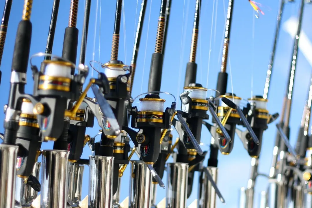 Explore the Common Types of Sparky Tools for Fish Rods
