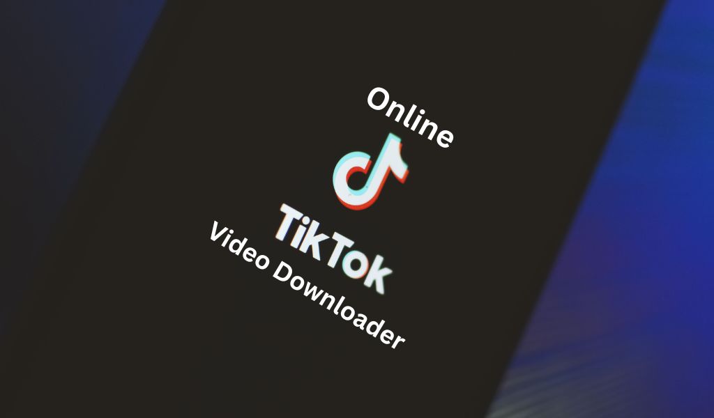 Top 5 TikTok Downloaders Online