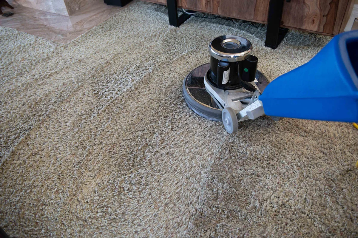 Allergen-Free Living: How Carpet Cleaning Improves Indoor Air Quality