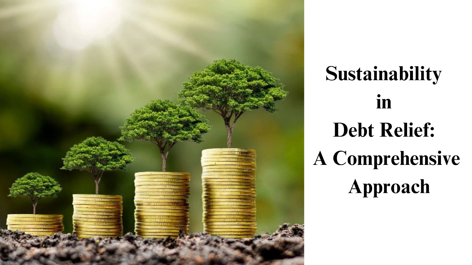 Sustainability in Debt Relief: A Comprehensive Approach